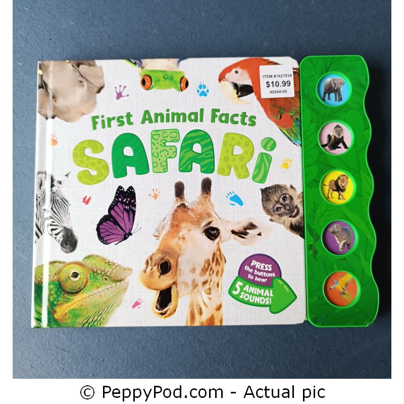 First-Animal-Facts-Safari-1