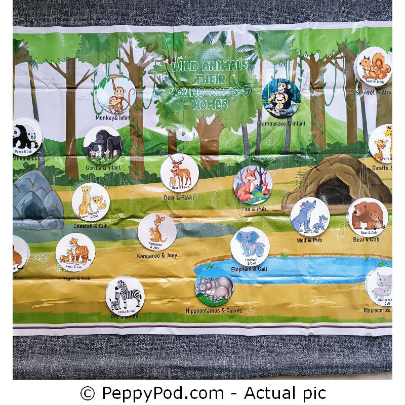 Learning-Activity-Mat-4