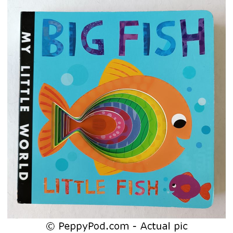 Big-Fish-Little-Fish-2