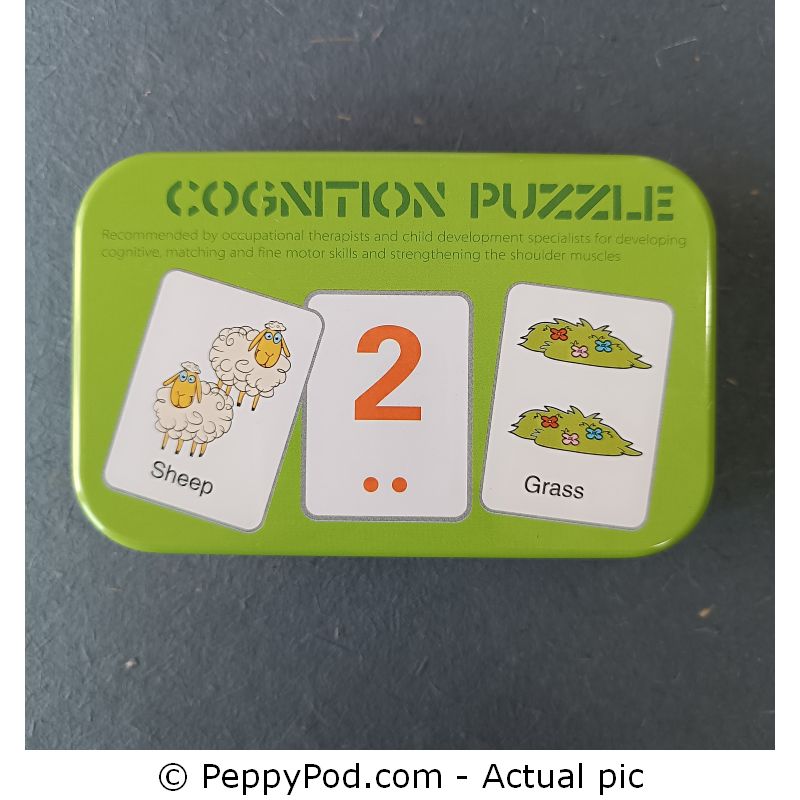 Cognition-Puzzle-6