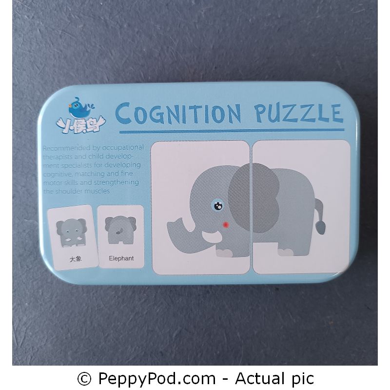 Cognition-Puzzle-8