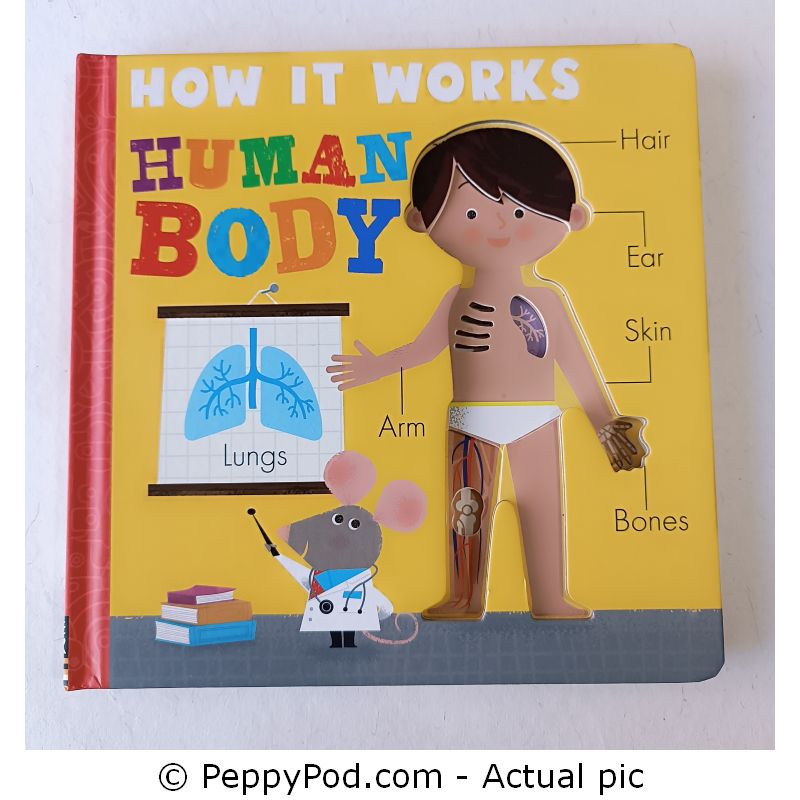 How-it-works-Human-Body-2