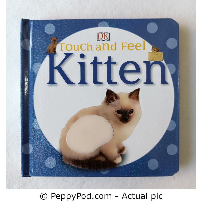 Touch-and-Feel-Kitten-2